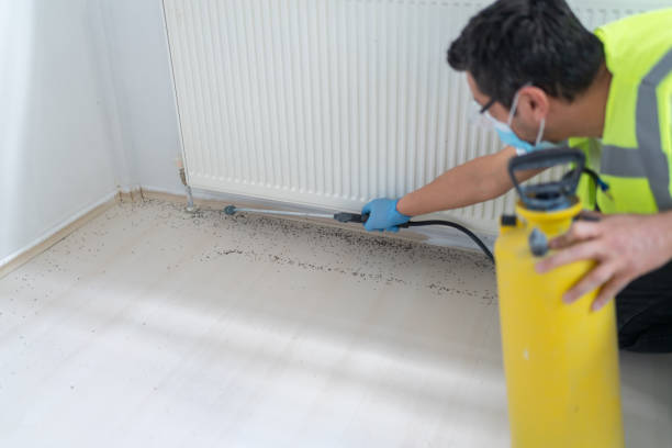 Best Cockroach Control Services  in Bell Acres, PA