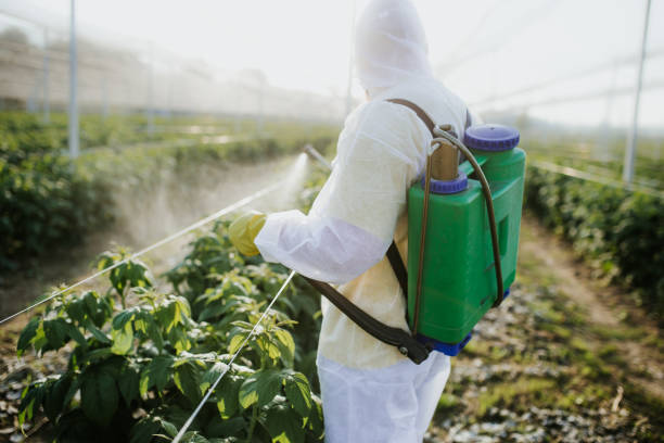Pest Control for Restaurants in Bell Acres, PA